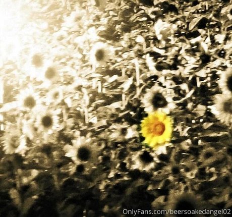 Beersoakedangel02