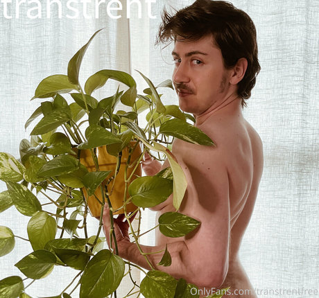 Transtrentfree