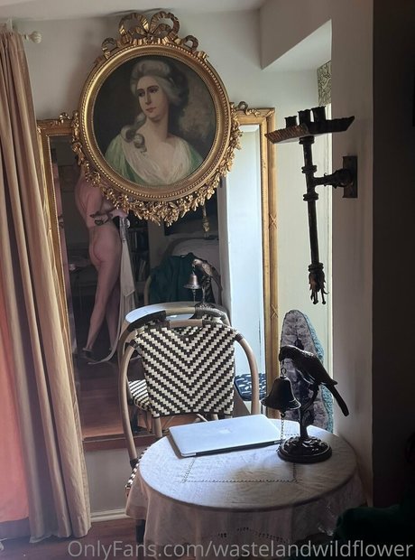 Foto di nudo di fuga di OnlyFans di Wastelandwildflower