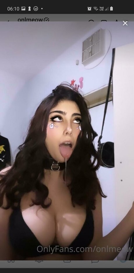 Onlmeow1