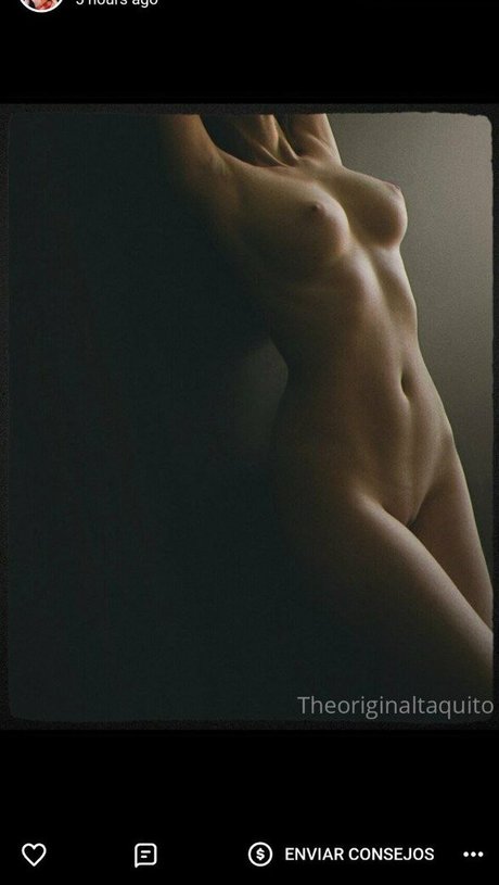 The Original Taquito