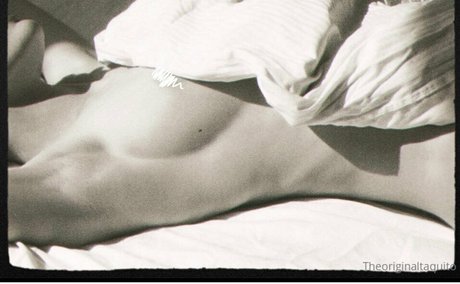 The Original Taquito