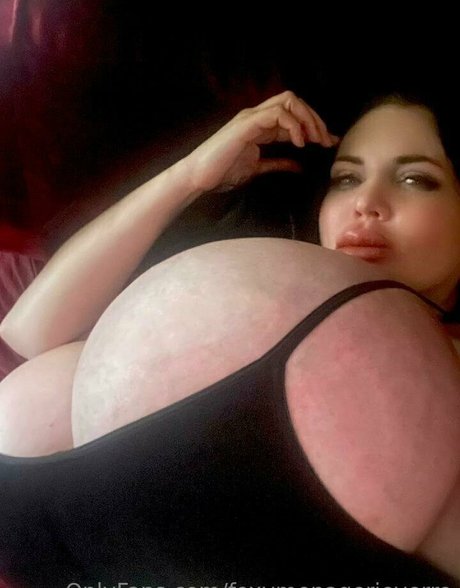 Foxy Menagerie Verre