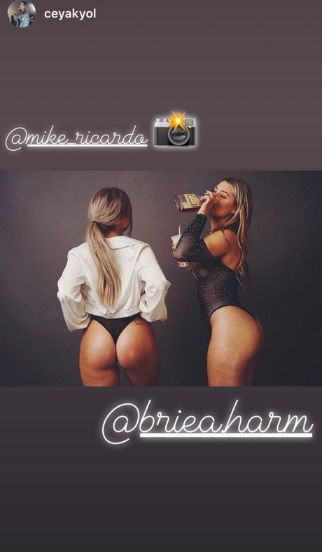 Briea Harm