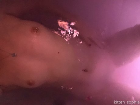 Kitten Sophie