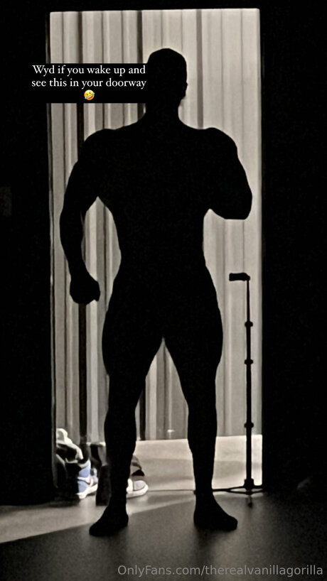 Therealvanillagorilla