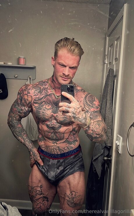 Therealvanillagorilla