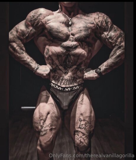 Therealvanillagorilla