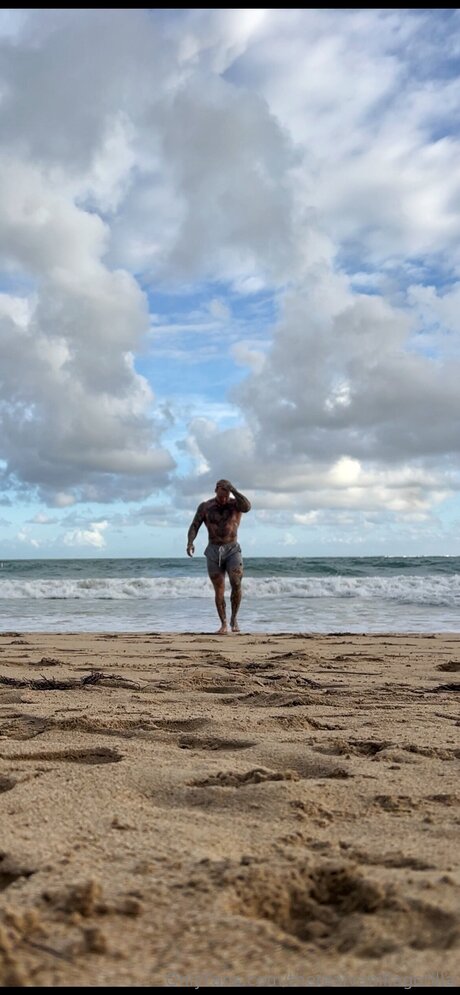 Therealvanillagorilla