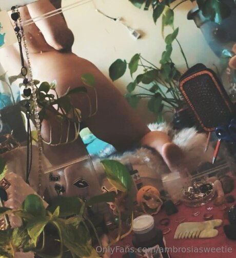 Ambrosiasweetie