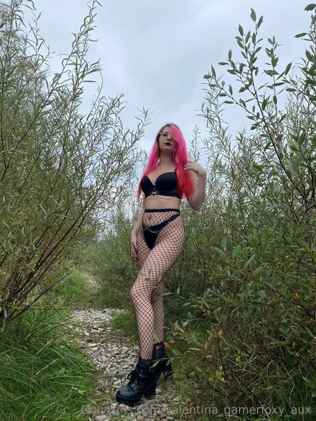 Valentina Gamerfoxy Aux