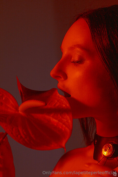 Lapetiteperleofficial
