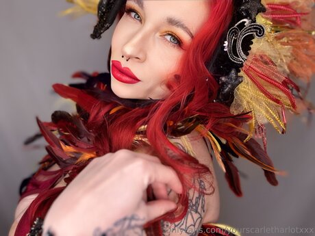 Yourscarletharlotxxx