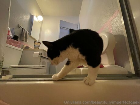 Beautifullyimperfectgeek