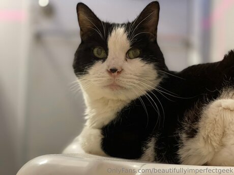 Beautifullyimperfectgeek