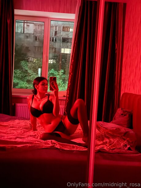 Midnight Rosa