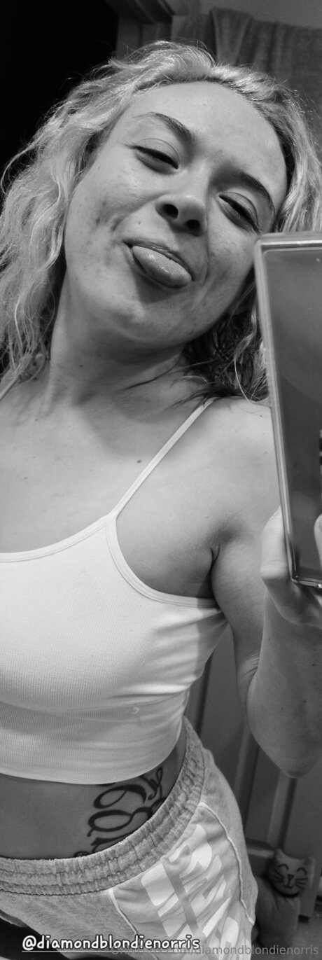 Diamondblondienorris