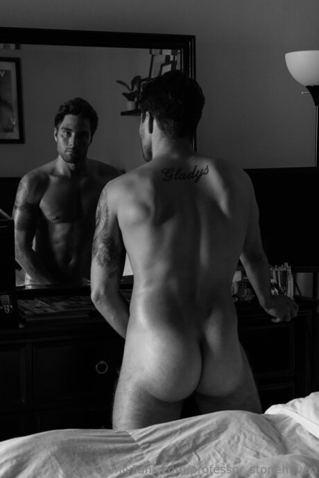 Professor Stonehaven