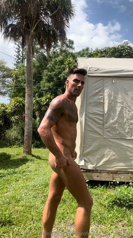 Professor Stonehaven