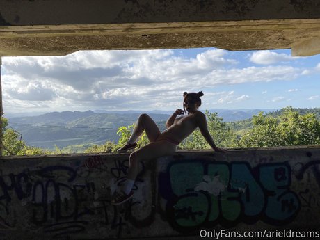 Ariel Dreams