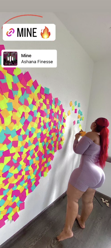 Ashana Finesse