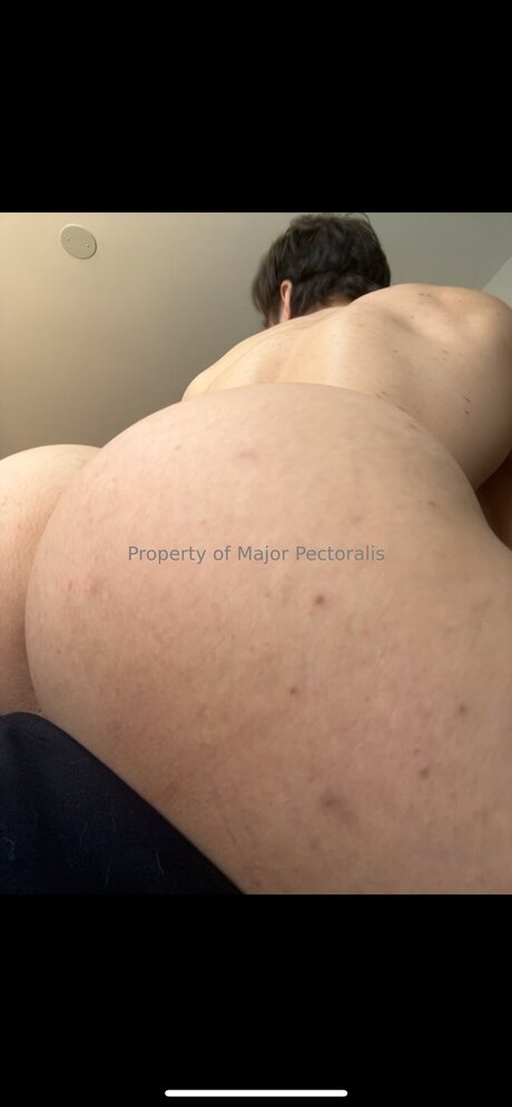Majorpectoralis