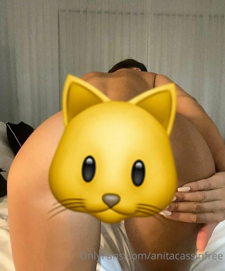 Anitacassinfree
