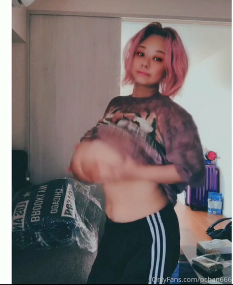 Pchan666