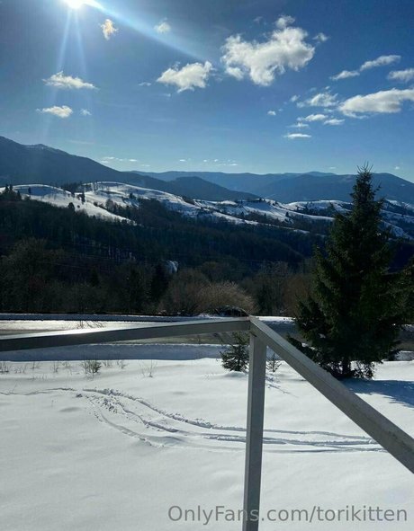 Torikitten