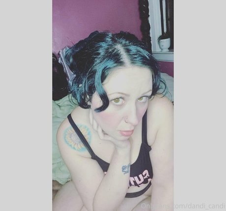 Dandicandi