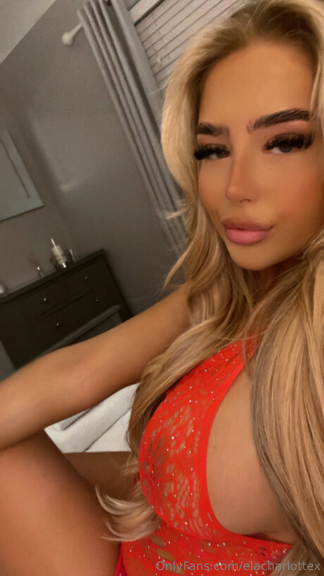 Elacharlottex