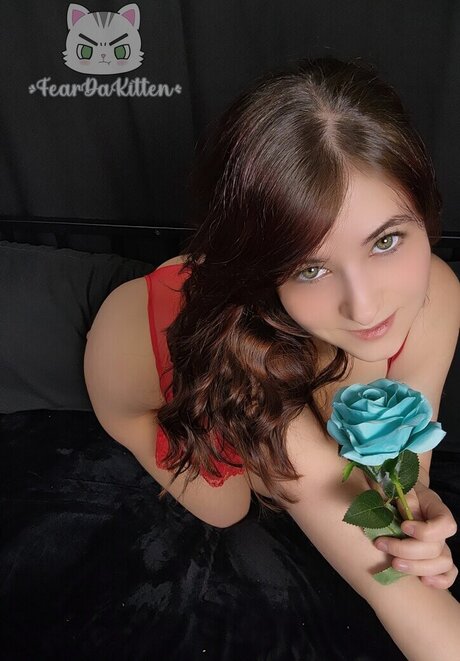 Feardakitten