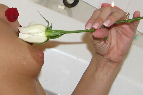 Southerncharms Reese