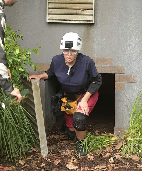 Ich Bin Ein Star  Holt Mich Hier Raus