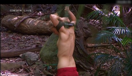 Ich Bin Ein Star  Holt Mich Hier Raus