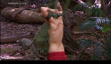 Ich Bin Ein Star  Holt Mich Hier Raus