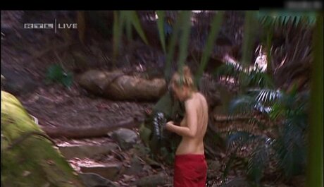 Ich Bin Ein Star  Holt Mich Hier Raus