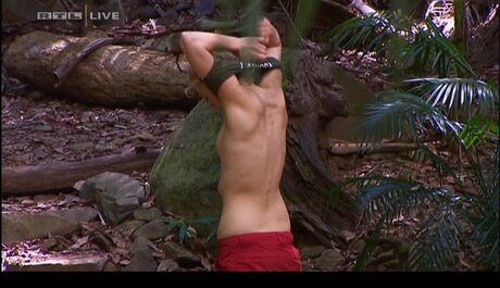 Ich Bin Ein Star  Holt Mich Hier Raus