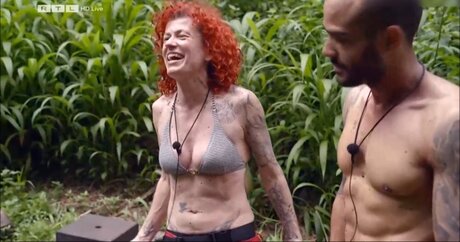 Ich Bin Ein Star  Holt Mich Hier Raus