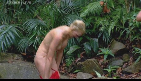 Ich Bin Ein Star  Holt Mich Hier Raus