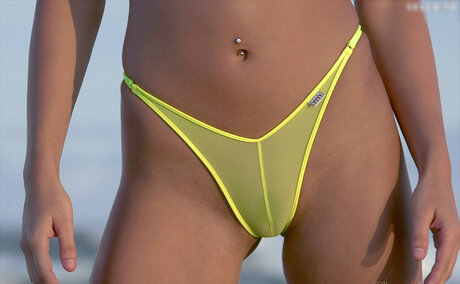 Microminimus Amp Wicked Weasel Models
