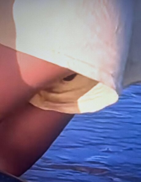 Sailing The Far Side