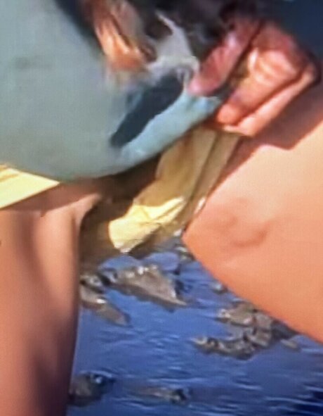 Sailing The Far Side