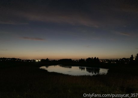 Pussycat357
