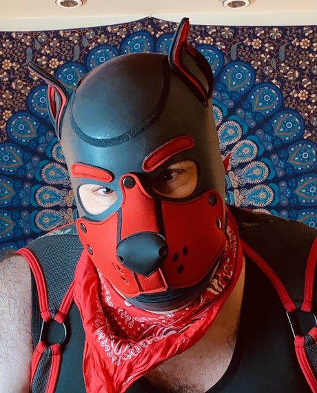 Bear Pup Gaymer