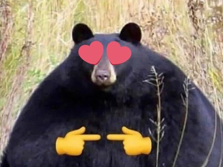 Jb The Jawbreaker Bear