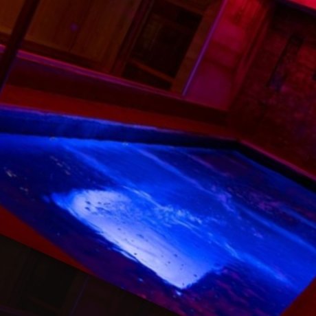 Foto di nudo di fuga di OnlyFans di Karo Ari