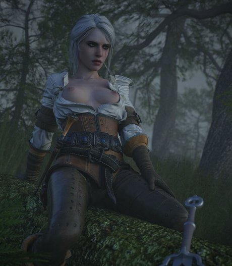 The Witcher