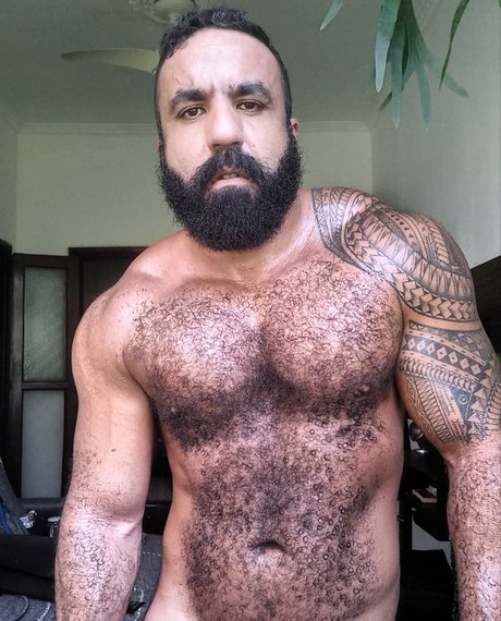 Musclebearbrazil