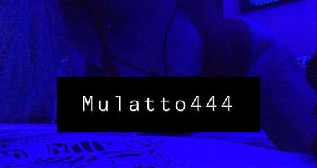 Mulatto